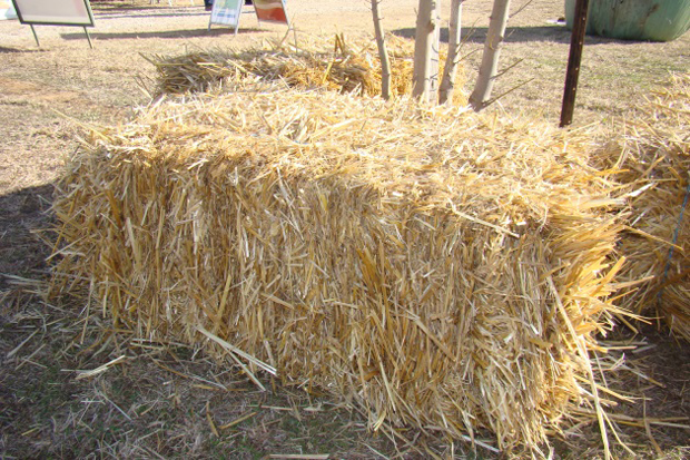 A sqaure bale of golden coloured straw