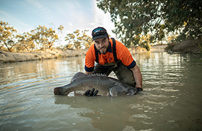 Darling River fish rescue