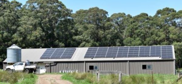 Solar panels on farm shed with bushland, dirt track and farm vehicle