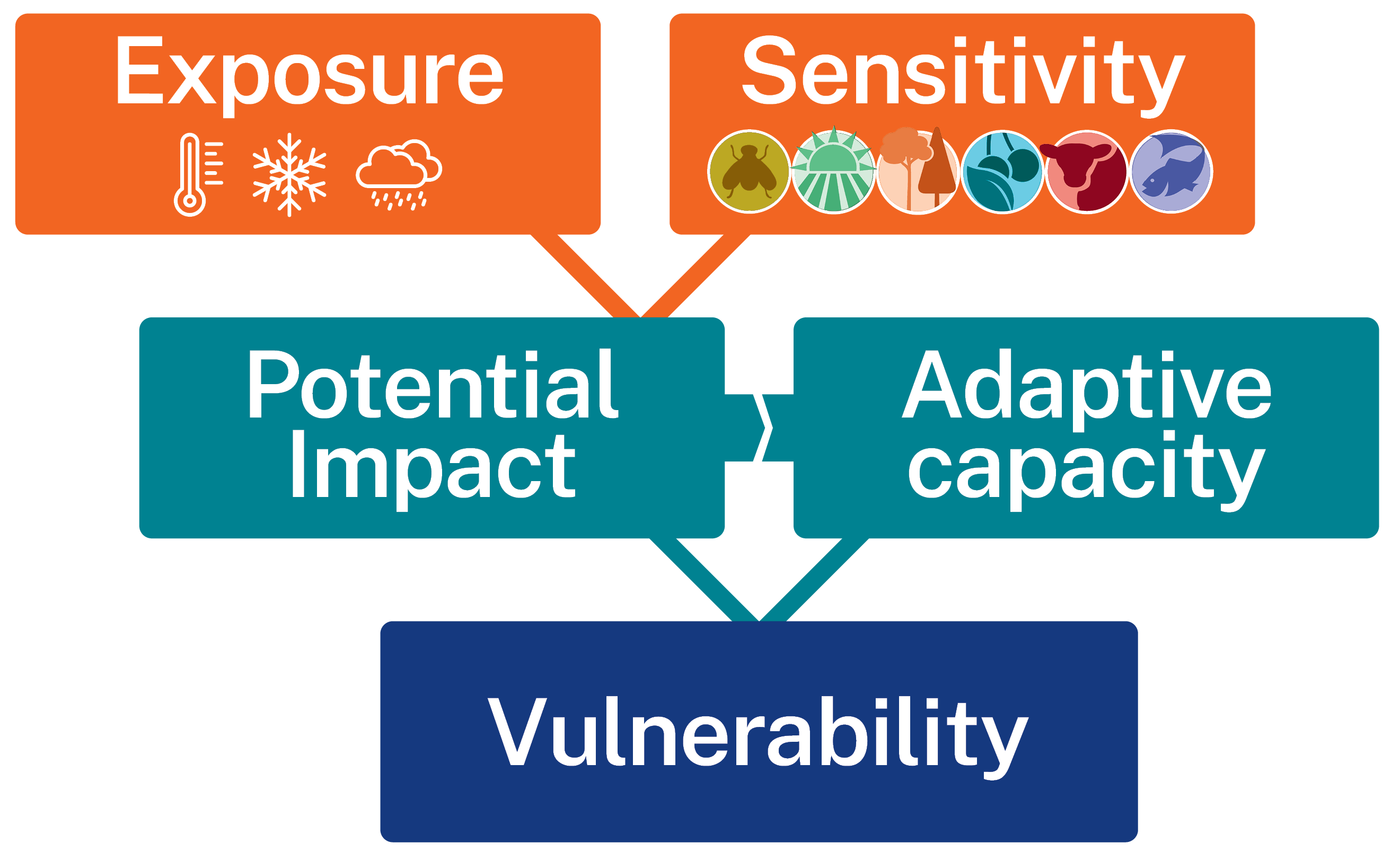 Climate vulnerability can be evaluated by examining the potential impact of climate on an organism, based on exposure and the organism's sensitivity.
