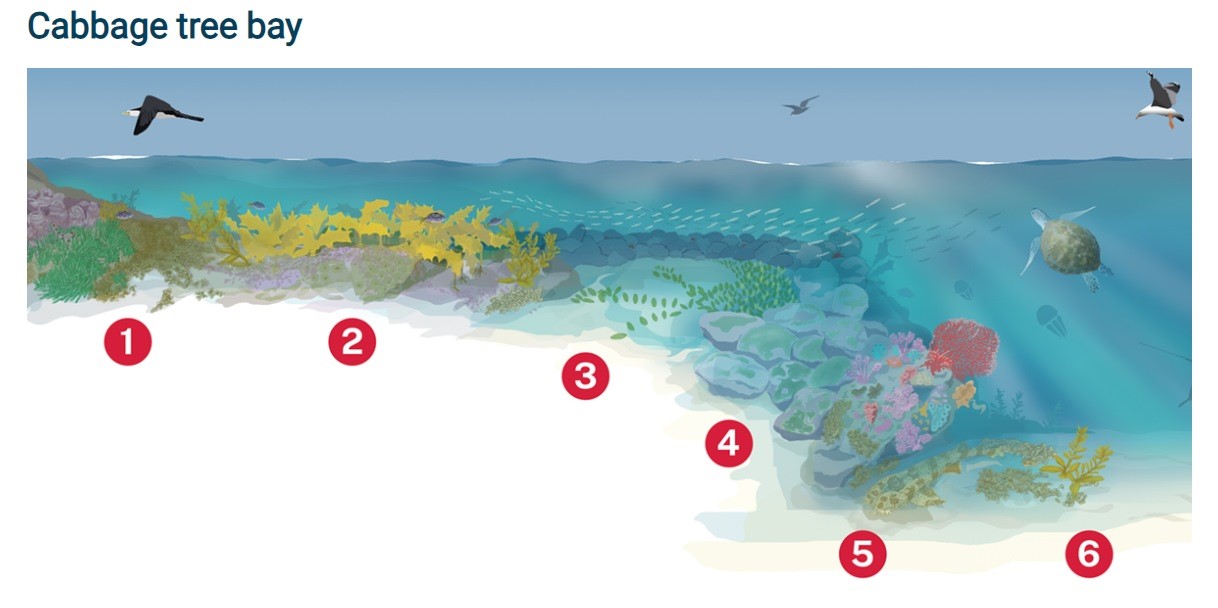 Map illustration of subtitle zone