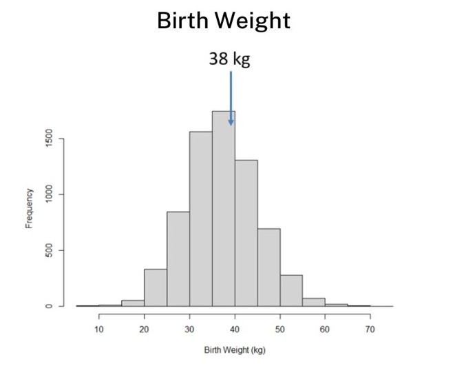 Brahman birth weight variation