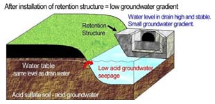 Figure 4 (above). Keeping drain water levels high can reduce groundwater gradients and greatly decrease the amount of acid groundwater seepage.