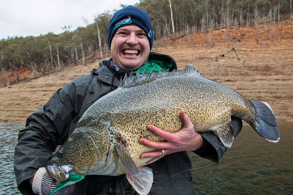 A recreational fisher holding a large Murray Cod before it was released