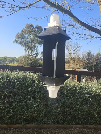 Black trap with cones at top and bottom directing insects into white cups at top and bottom. Trap is hanging from a tree in a garden