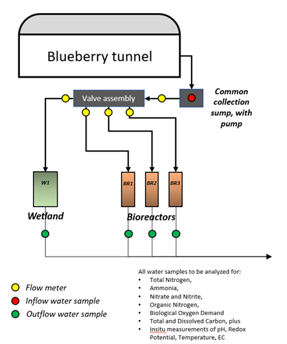 Figure 1 shows a schematic design of the three bioreactors and one wetland, showing the location of the common collection sump on the right side of the diagram, and the valve assembly, flow meters and sampling points in relation to the blueberry tunnel and the trial bioreactors and wetland. The analytes to be monitored are listed as Total Nitrogen, Ammonia, Nitrate and Nitrite, Organic Nitrogen, Biological Oxygen Demand, Total and Dissolved Carbon, In situ measurements of pH, Redox Potential, Temperature and EC (the list of analytes is also shown in Table 1.)