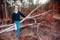 Acting harvesting forester for Forestry Corporation at Wauchope, Scott Mallyon, with some of the tree heads in Broken Bago State Forest that would make good fire wood