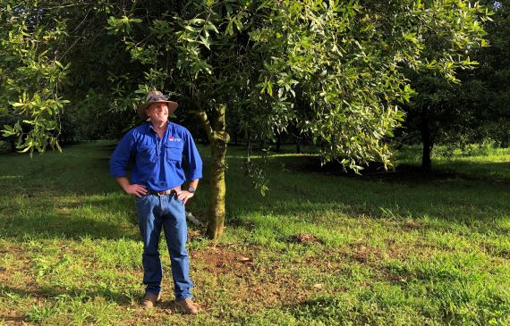 Kel Langfield stands in front of macadamia trees