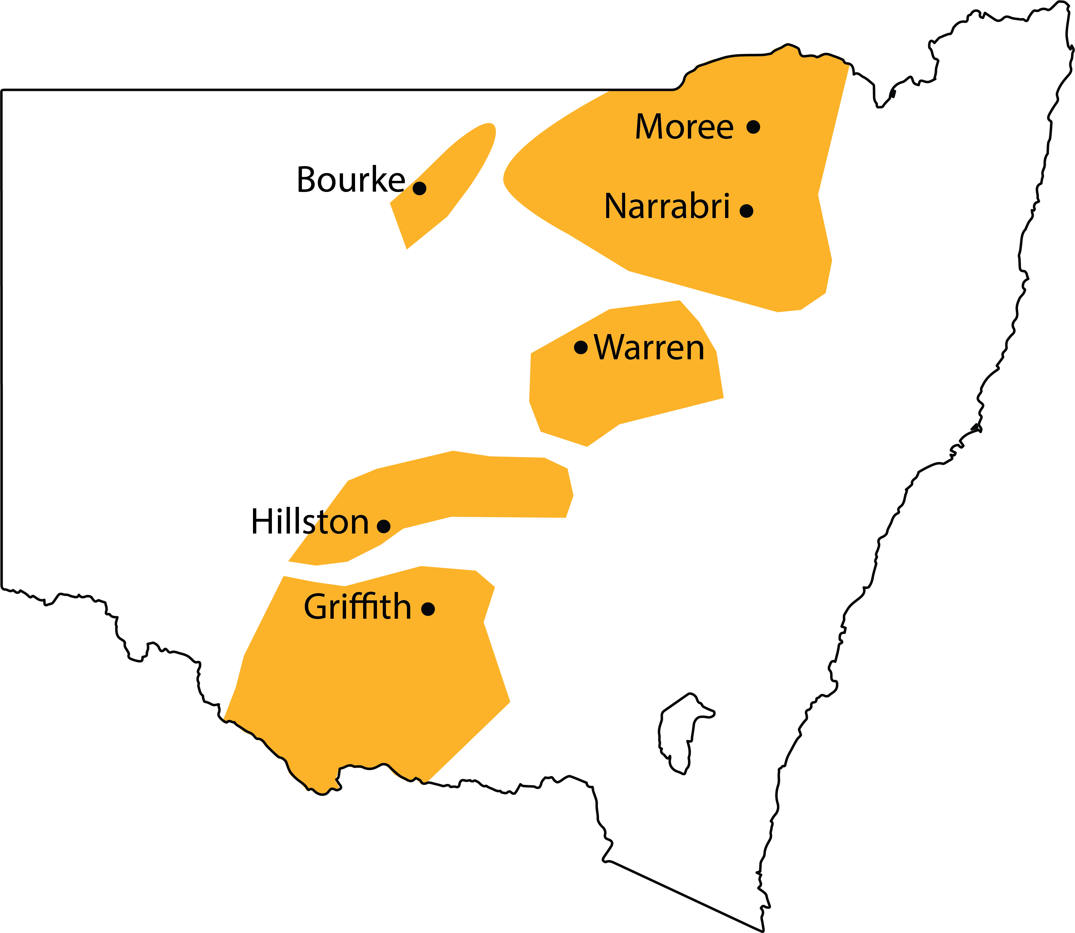 Verticillium dahliae affects many crops, including cotton, which is grown in regions across central NSW west of the Great Dividing Range from Queensland to Victoria.