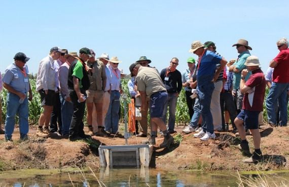 Participants watching a pipe through the bank and gate being opened on the 2015 CottonInfo Irrigation Technology tour