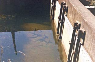 Figure 1. Floodgates act as barriers to fish and can restrict their access to upstream habitat areas