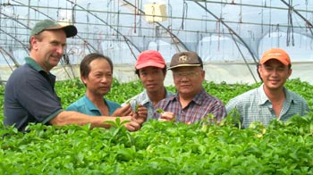 Dr Ho Dang (second from right) discussing hydroponic production methods with growers