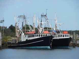 Fishing boats