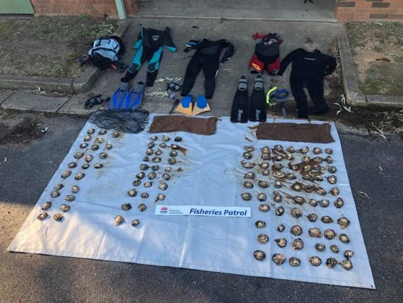 Image of abalone and dive equipment seized from NSW south coast