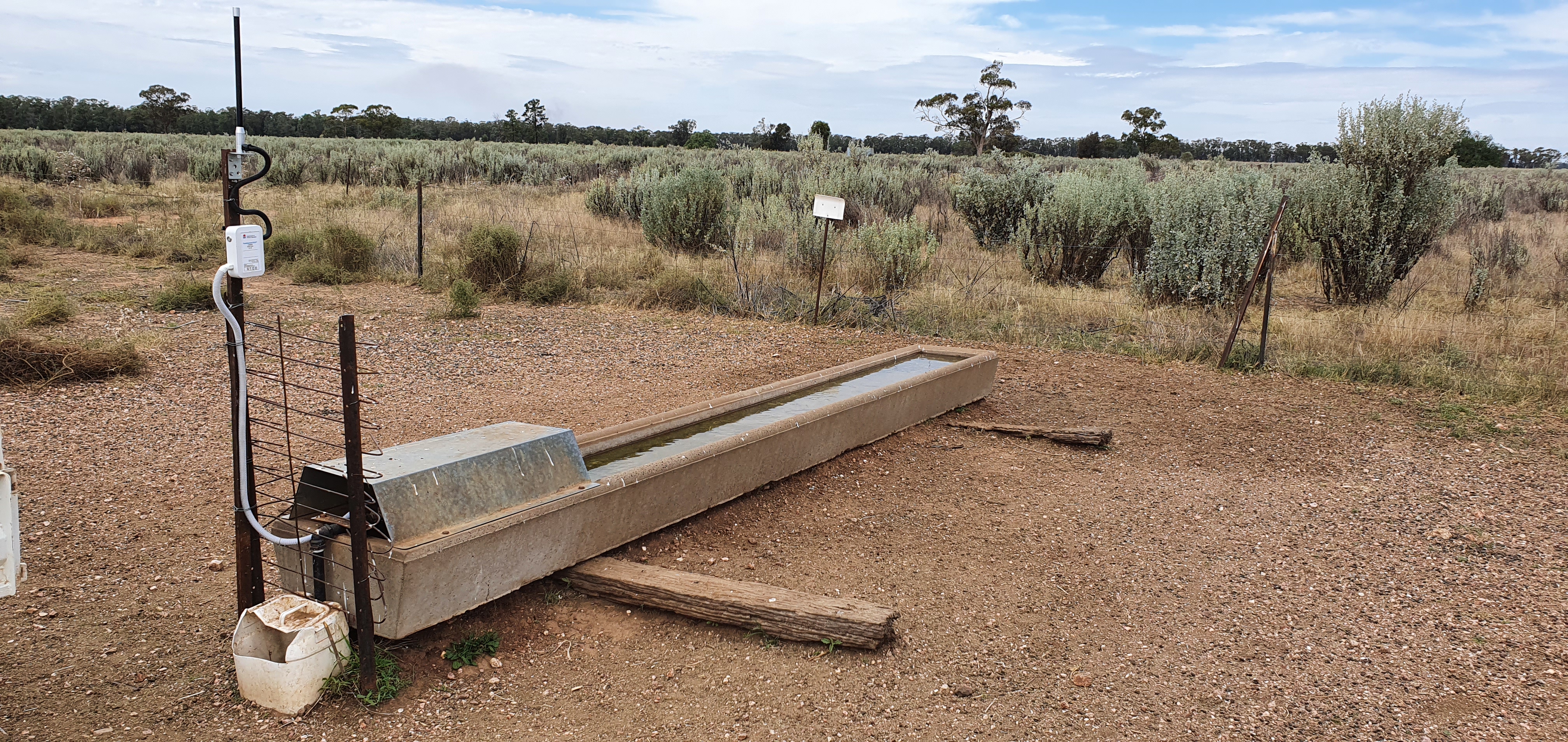 Trough with a LoRaWAN water level sensor installed.