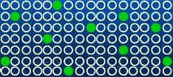 Figure 3. Randomly scatter trees for monitoring.