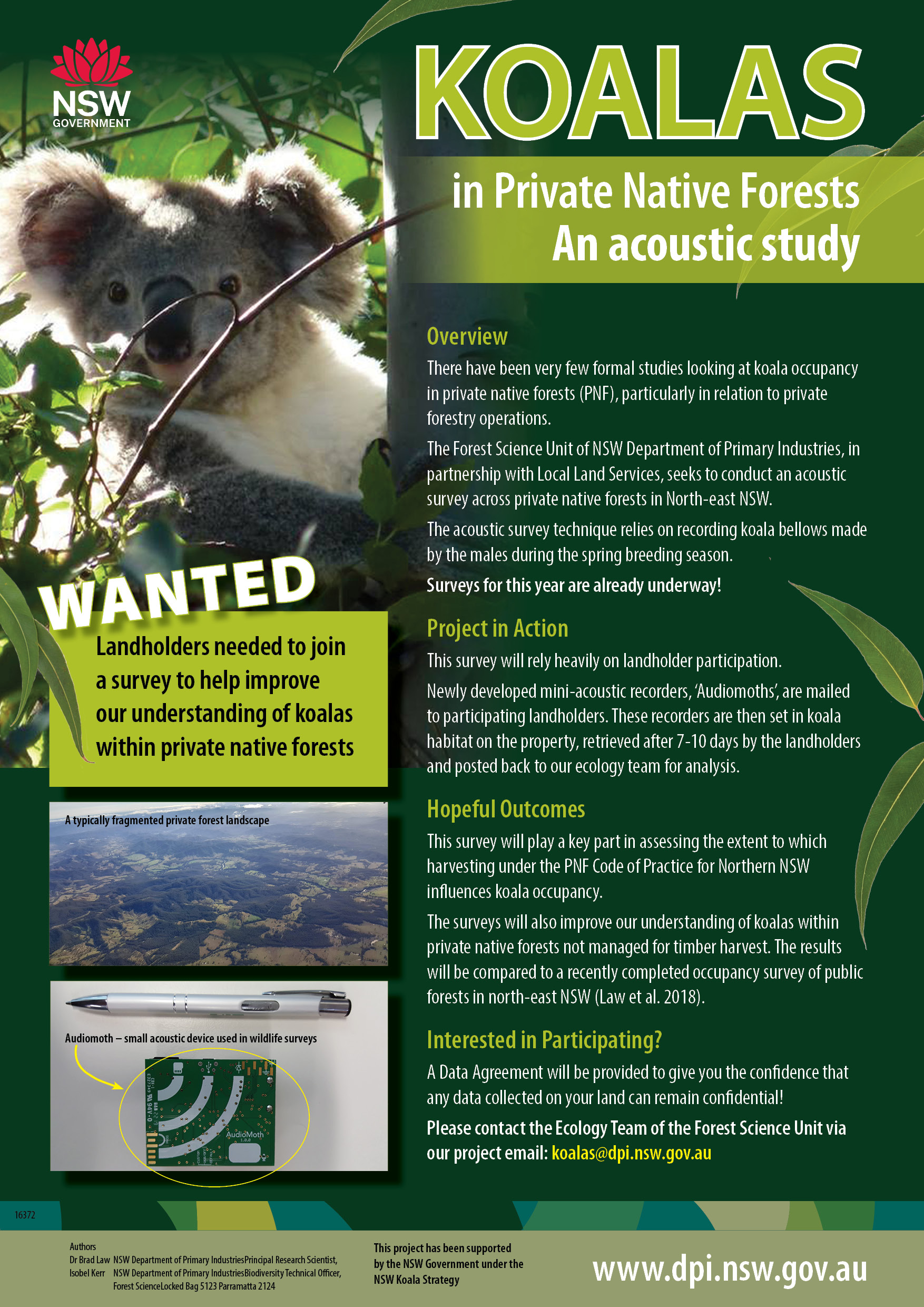Koalas in Private Native Forests - An acoustic study