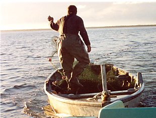 Throwing net