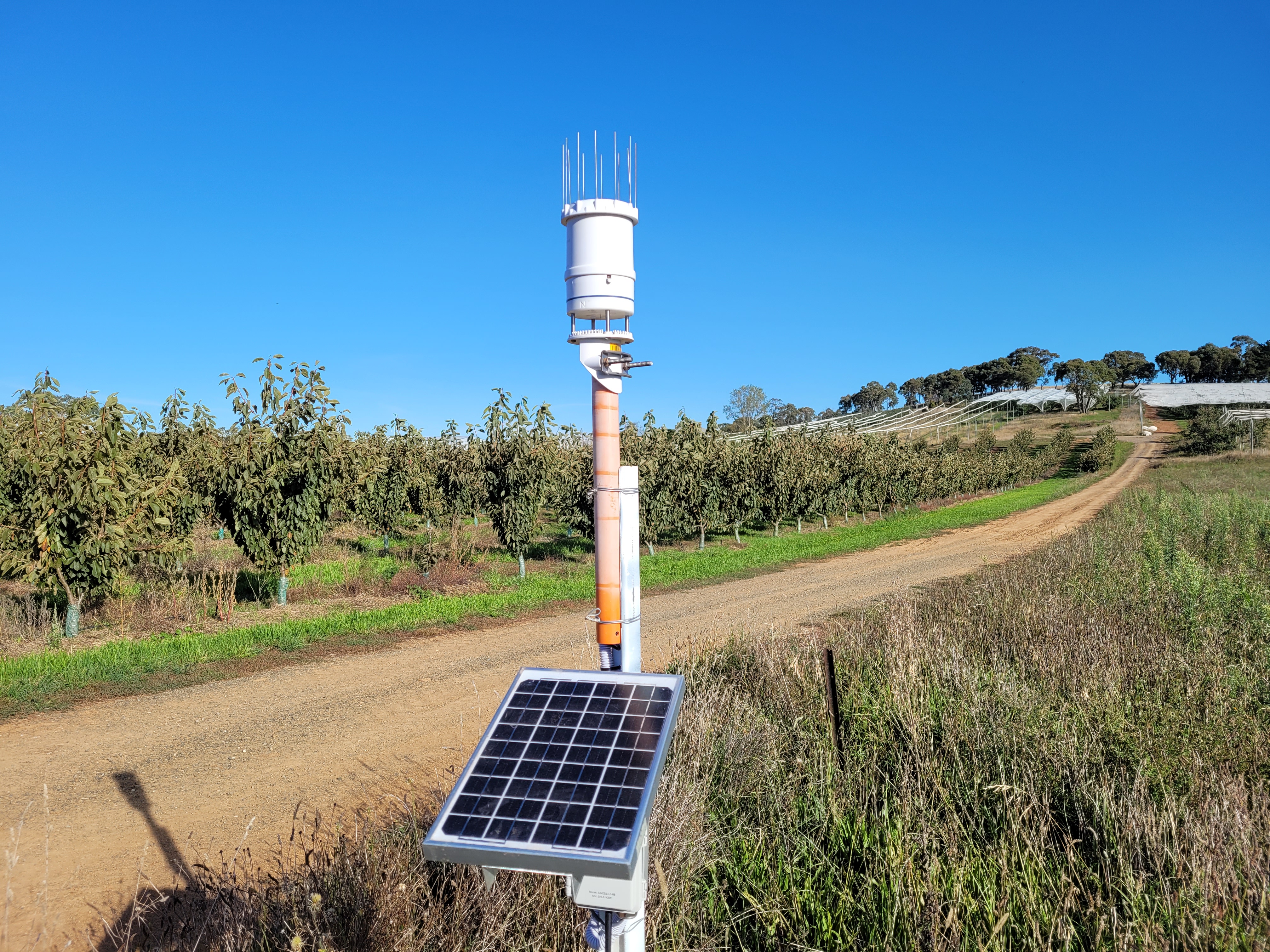 Atmos 41 weather station in orchard