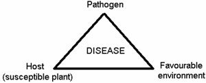 Disease management