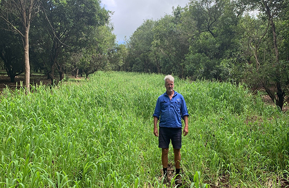 Photo of Farm Manager Andrew Taylor standing in newly revegetated area of the Saratini Macadamia orchard.