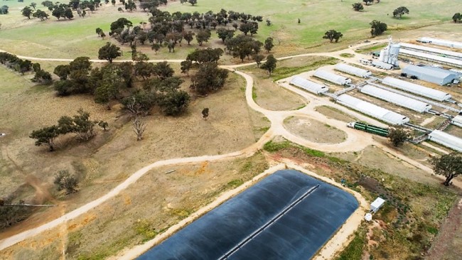 biodigester dam on Blantyre Farms piggery aerial shot with gravel roads farm buildings and fields