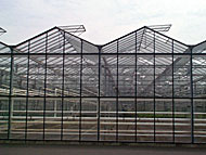 Greenhouse vents