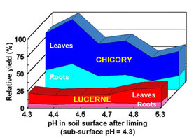 Figure C1. Relative yield of chicory and lucerne in response   to pH