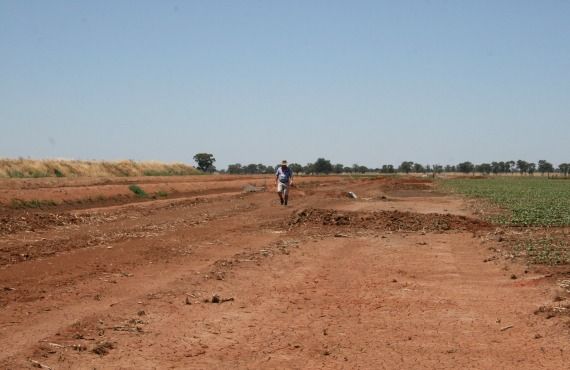 Distribution pond areas at Noel Baxter's property, Berrigan, NSW.