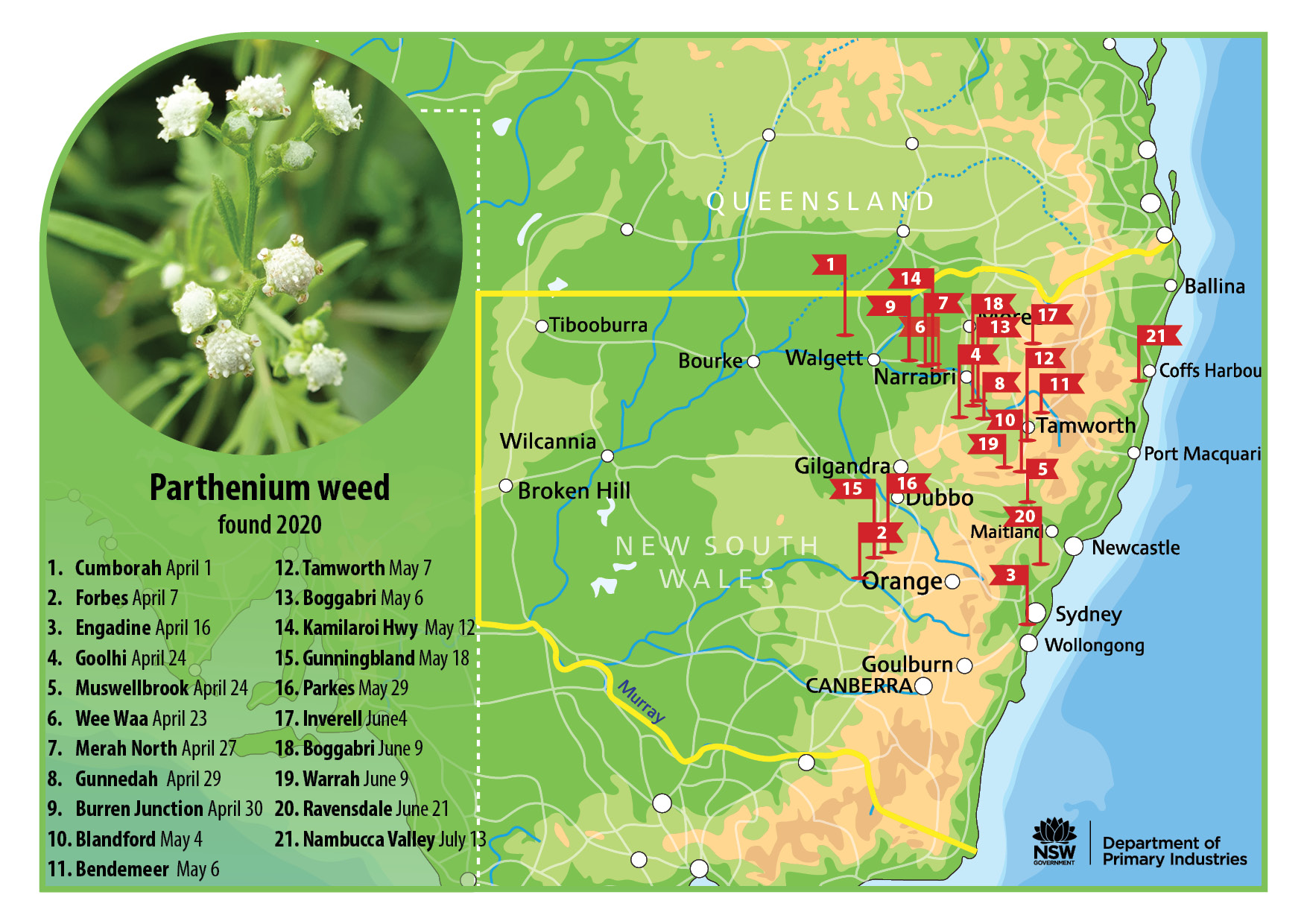 Map of parthenium weed outbreaks 2020