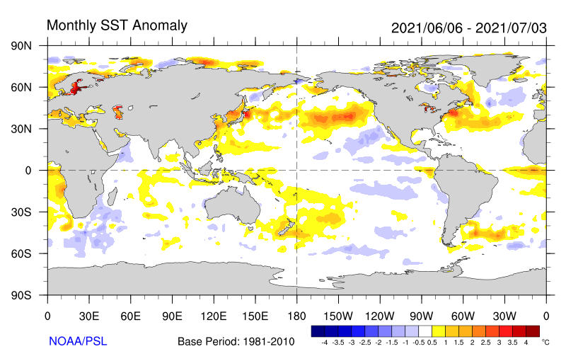 Monthly sea surface temperature anomalies (Source: NOAA)