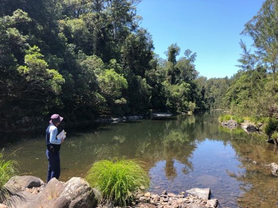 Fisheries officer conducting environmental audit in northern NSW