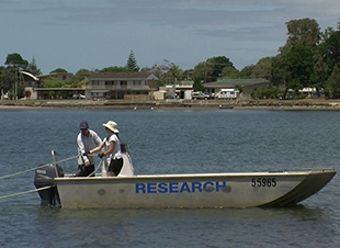 Prawn research boat