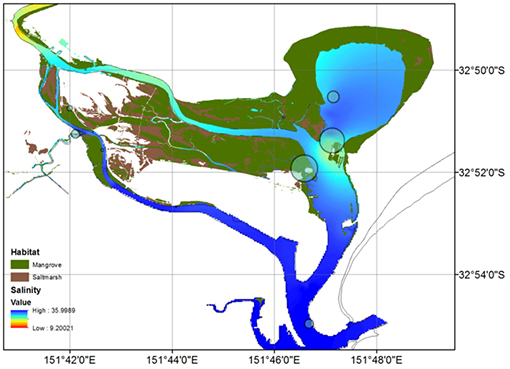 Interpolated salinity surface and major aquatic habitat types