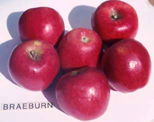 Braeburn