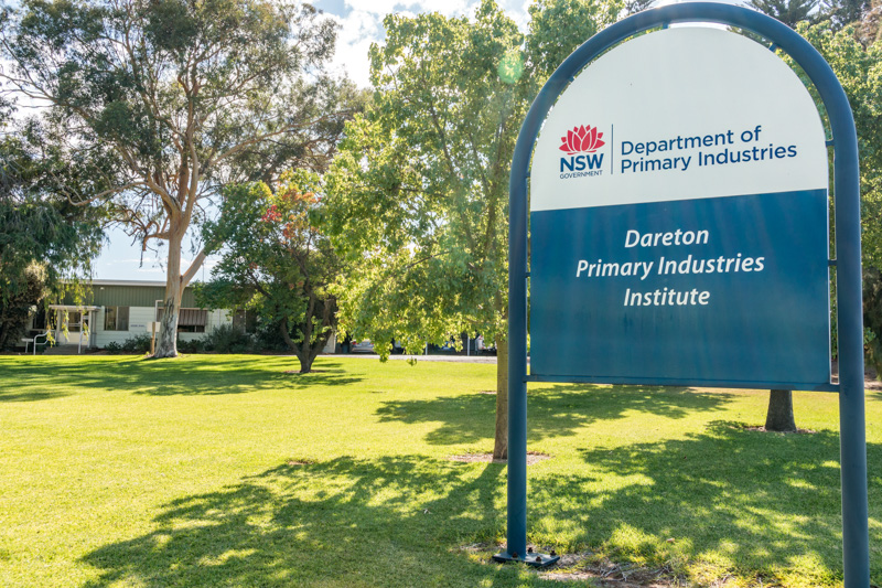 Dareton Primary Industries Institute