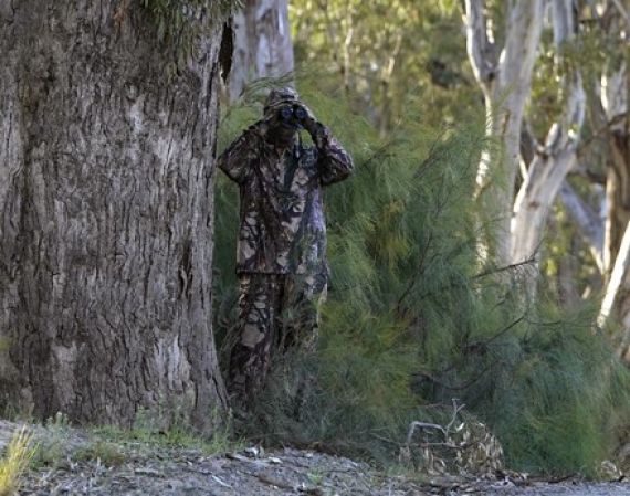 Fisheries officer conducting covert surveillance along the Murray River near Albury