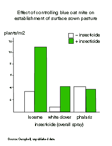 A graph showing the effect of controlling blue oat mite on establishment of surface sown pasture (no insecticide versus insecticide)