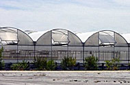 Medium technology greenhouse