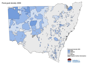 Feral goat occurences 2009