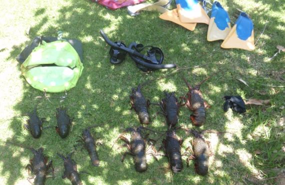 Fish and fishing gear seized from Batemans Marine Park