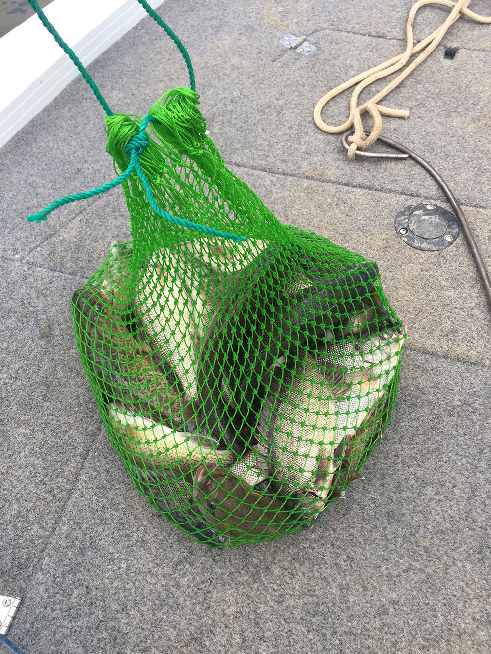 A bag containing illegally caught fish located on the deck of a boat